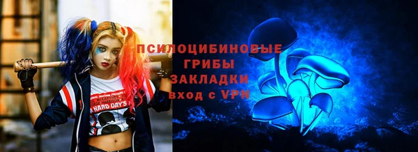 сатива Алексин