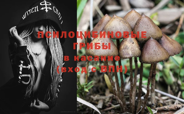 амф Алексеевка